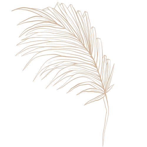Light brown palm frond icon